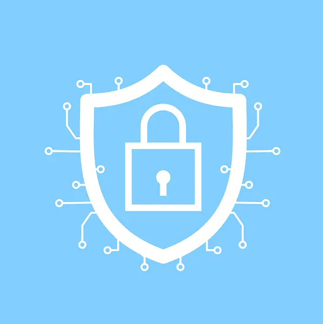 Cybersecurity Solutions to Safeguard Businesses | Elohim Software Solutions