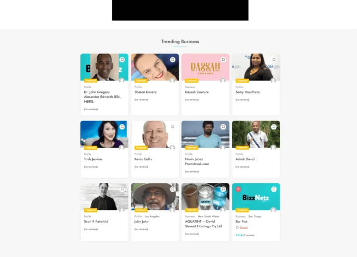 Bizznetz Business Profiles Website Design by Elohim Software Solutions